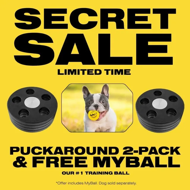Puckaround Secret Sale træningspuck 2-pak + bold